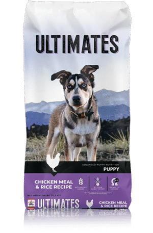 PRO PAC Ultimates - Cachorro Chicken & Brown Rice