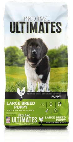 PRO PAC Ultimates - Cachorro Large Breed